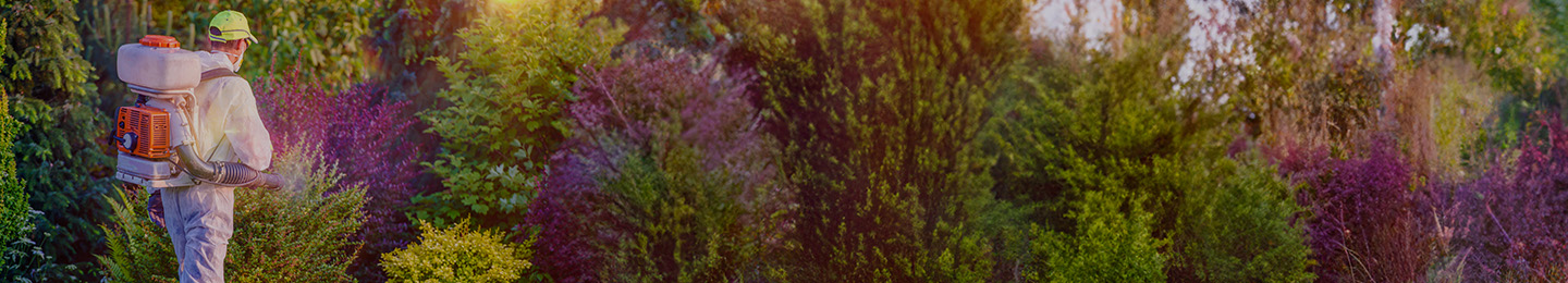 It Bugs Me Pest Control - Pest Control in Memphis