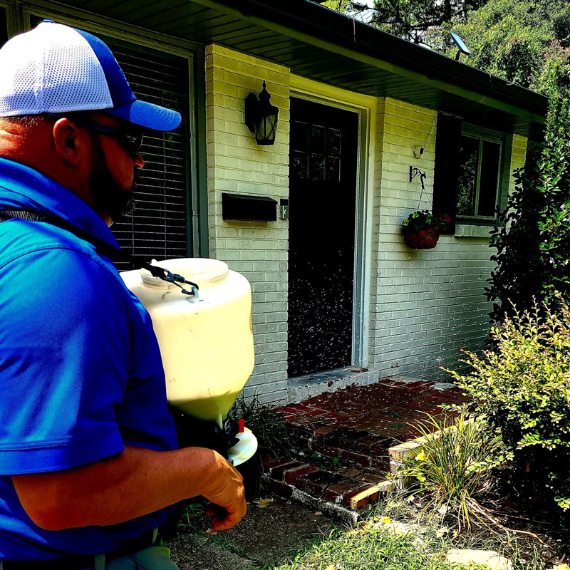 man spraying for bugs