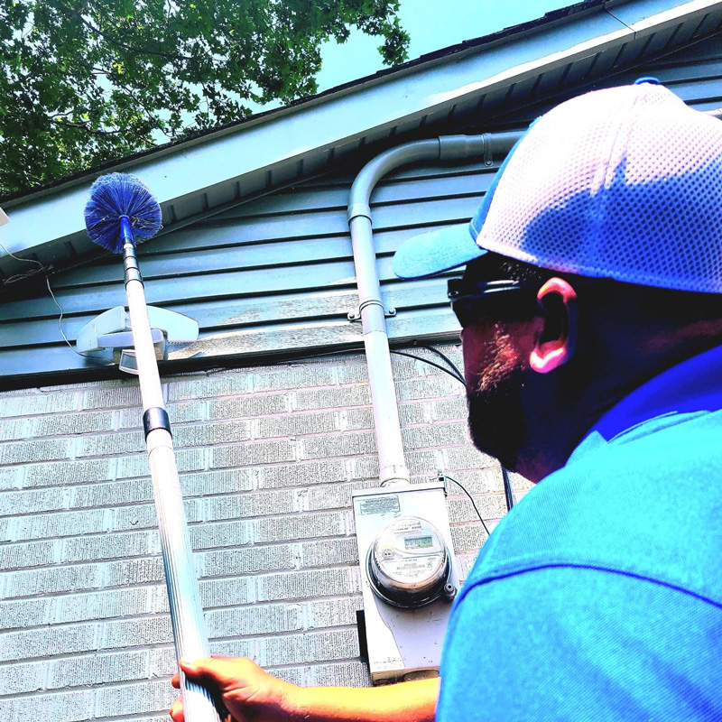 man scrubbing house for bugs